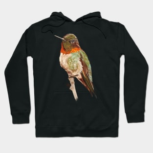 Morning Ruby-throated Hummingbird Hoodie